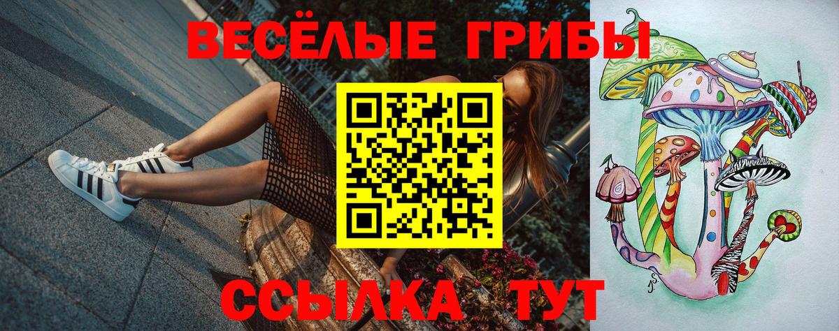 Солнечногорск  Галлюциногенные грибы прущие грибы  Вход с VPN 